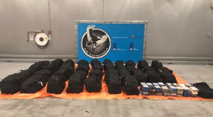 An estimated 1,533 kilograms of cocaine worth over €115 million was seized on 30 Aug. 2022