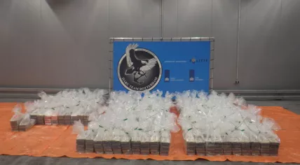 An estimated 1,822 kilograms of cocaine, worth about €191 million euros, found in a truck near Barendrecht on 24 Sept. 2022