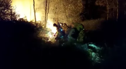 Firefighters fighting a forest fire in Mariapeel in Limburg, 1 September 2022