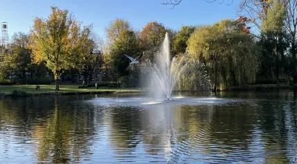 Water in Oosterpark in November 2021.