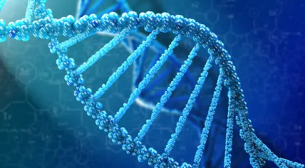 DNA molecule