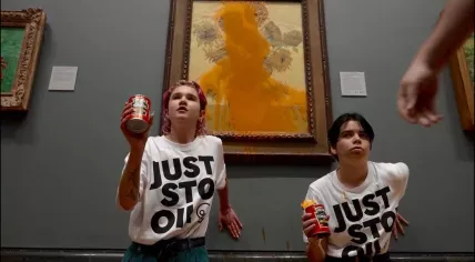 Activists pour tomato soup on Vincent van Gogh's Sunflowers at the National Gallery in London, 14 October 2022