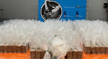 2,814 kilograms of cocaine found in a squid shipment from Ecuador at the port of Rotterdam, November 2022