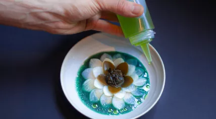 Pickled spring vegetables with seaweed - a dish from De Nieuwe Winkel spring menu