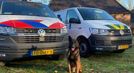 A drug sniffing dog sits in front of vehicles from the Marechaussee and Customs during an investigation on 14 November 2022