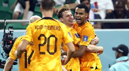 Davy Klaassen of Holland, Frenkie de Jong of Holland, Cody Gakpo of Holland celebrate the 0-1 during the FIFA World Cup Qatar 2022 groep A match between Senegal and Nederland in the Al Thumama Stadium on 21 november 2022 in Doha, Qatar. 