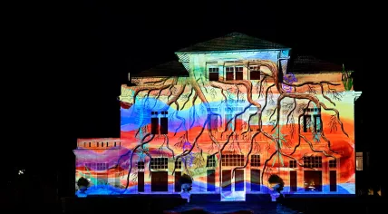 The Reed by Cindy Lo at GLOW Eindhoven 2022
