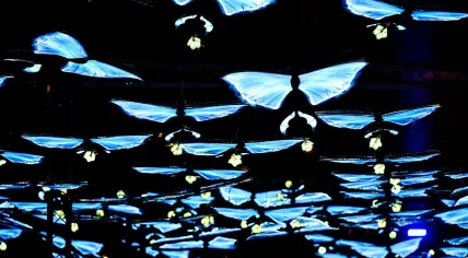 Connecting your love, part 1 by ASML & De Efteling at GLOW Eindhoven 2022