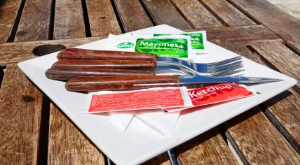Cutlery with sachets of ketchup and mayonaise 