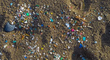 Microplastic pollution on a beach