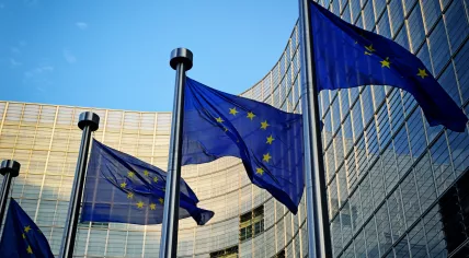 European union flag in front of building