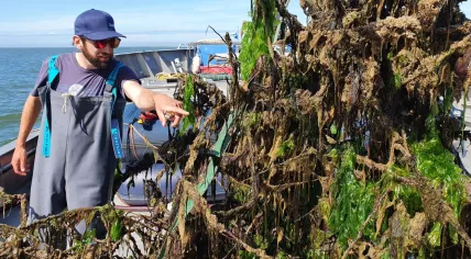 One of the Tree Reefs on deck for sampling and measurements