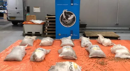 Cocaine seized at the port of Rotterdam as part of a Europol bust of a "super cartel" that allegedly controlled a third of the cocaine trade in Europe, November 2022