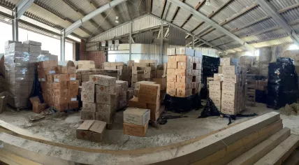 Police seized 350,000 kilograms of illegal fireworks in Germany destined for Dutch market, June 2022