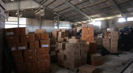 Police seized 350,000 kilograms of illegal fireworks in Germany destined for Dutch market, June 2022
