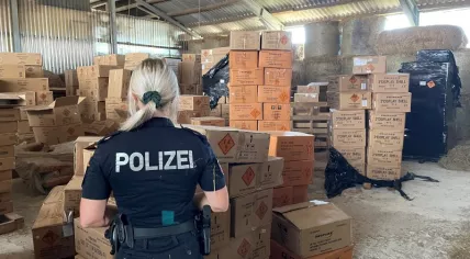Police seized 350,000 kilograms of illegal fireworks in Germany destined for Dutch market, June 2022