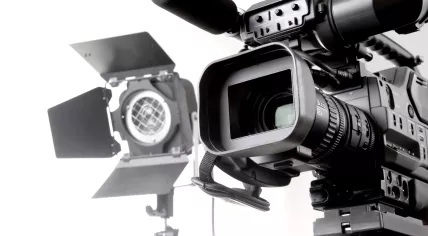 DV camcorder and light