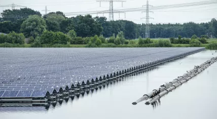 Birds resting on floating array of solar panels in artificial lake Sekdoornse Plas, with power lines and forest in the background. Zwolle, 19 July 2020 