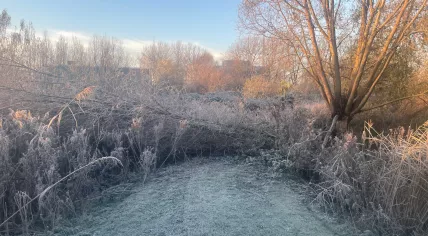 A frosty area in Amsterdam-Oost. 13 December 2022