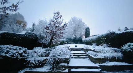 Season's first snowfall in Kerkrade, 5 December 2022