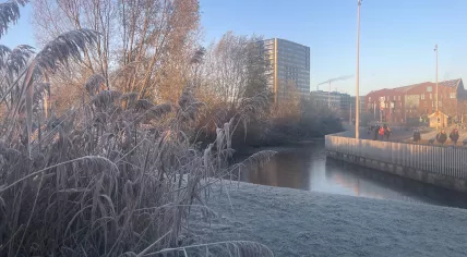 A frosty morning in Amsterdam Oost, (13 December 2022)