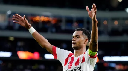Footballer Cody Gakpo for PSV Eindhoven