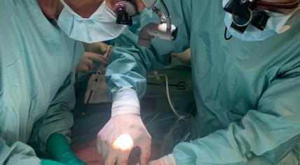 Surgeons working on the first Dutch surgery including a combined heart and lung transplant. 2022