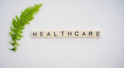 The word "Healthcare" spelled out in tiles, near a green fern leaf