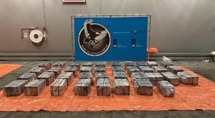 1,279 kilograms of cocaine found in Vlissingen in two banana containers from Ecuador, 14 December 2022