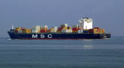 container ship MSC Lorena