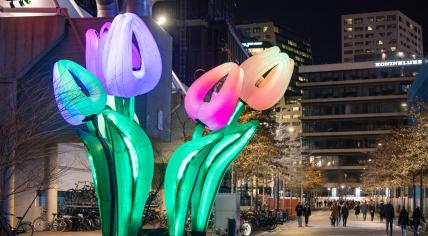 I light U: Utrecht's light art festival a bright spot in dark winter month  | NL Times