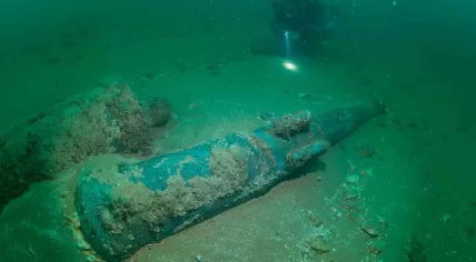Two guns found at the wreck site