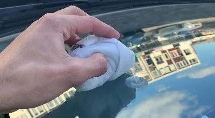 Boxtel cop following "Chinese spy balloon" that turned out to be bird poop, 26 February 2023