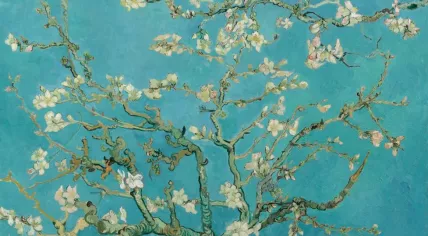 Almond Blossom, Vincent van Gogh, 1890