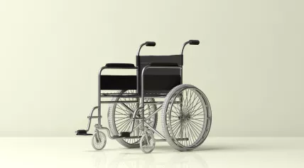 Wheelchair