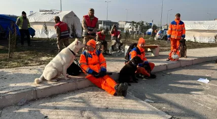 RHWW rescue team in the Hatay region in Turkey, helping search the rubble left by massive earthquakes, 13 February 2023