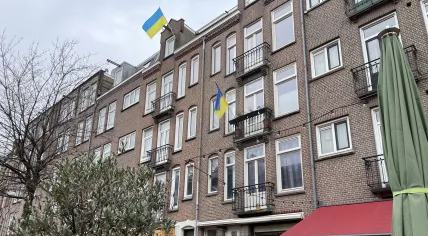 Ukrainian flags flying over the Javastraat in Amsterdam-Oost. 28 February 2023