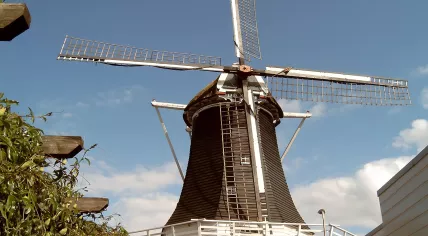 The Wijhe wind mill