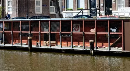 De Poezenboot floating cat shelter in Amsterdam