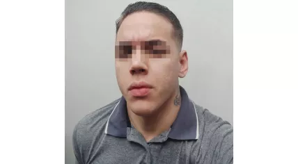Begoleã M. F.