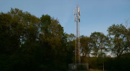 A telecommunications transmission mast in the Netherlands in 2020