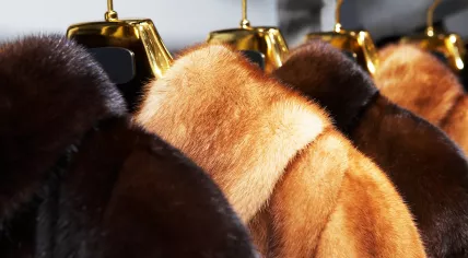 Fur coats