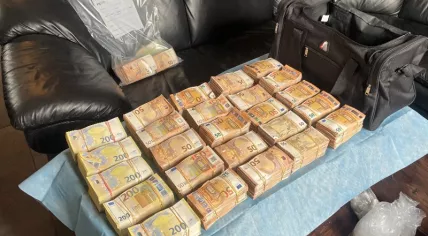 Cash discovered by police in Hellouw during a major international investigation into drug trafficking and underground banking, March 2023.