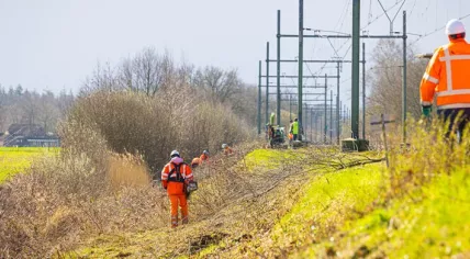 ProRail clearing vegetation around the train track in Esch in preparation to start repairing damage caused by burrowing badgers, 23 March 2023
