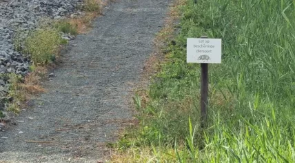 A sign warning of badgers next to train tracks in the Netherlands
