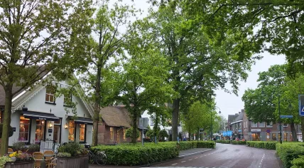 Laren