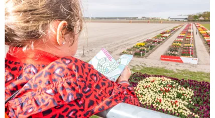 Tulip Festival Noordoostpolder