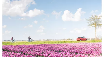 Tulip Festival Noordoostpolder