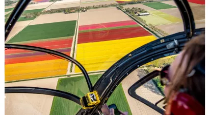 Tulip Festival Noordoostpolder