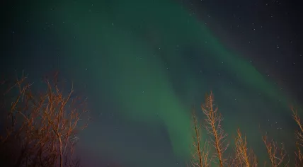 Stock photo of the northern lights